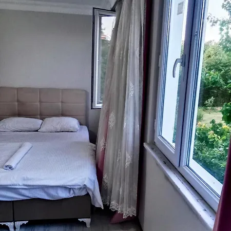 Cheap Rooms In The Forest Closest To The Airport Tasoluk